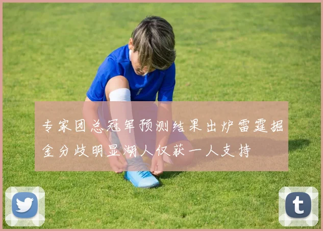 专家团总冠军预测结果出炉雷霆掘金分歧明显湖人仅获一人支持