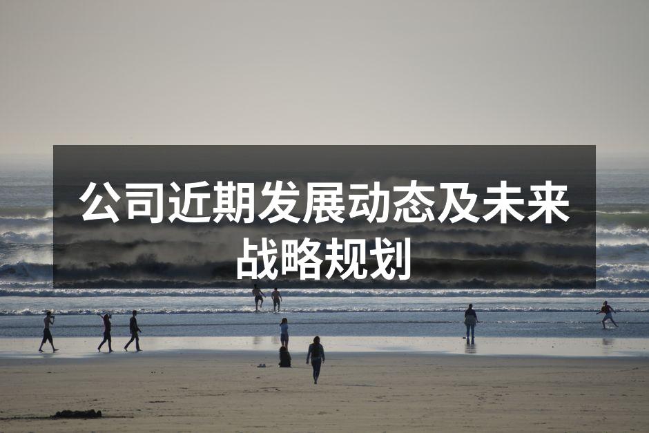 公司近期发展动态及未来战略规划